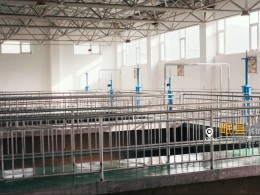 公司召開二屆十次職代會、黨委擴大會、第三十三次股東會